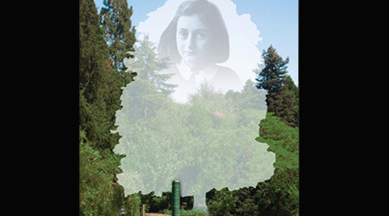 Anne Frank Tree Visualization