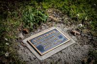 Anne Frank Tree 10th Anniversary Plaque