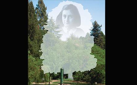 Anne Frank Tree Visualization